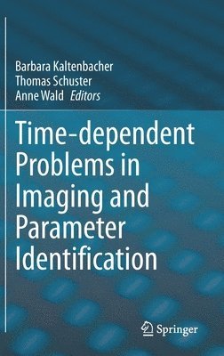 Time-dependent Problems in Imaging and Parameter Identification 1