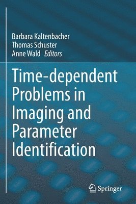 bokomslag Time-dependent Problems in Imaging and Parameter Identification