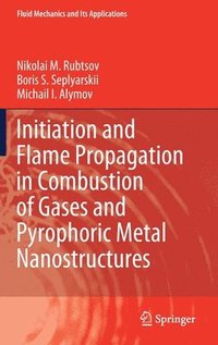 bokomslag Initiation and Flame Propagation in Combustion of Gases and Pyrophoric Metal Nanostructures