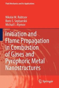 bokomslag Initiation and Flame Propagation in Combustion of Gases and Pyrophoric Metal Nanostructures