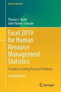 bokomslag Excel 2019 for Human Resource Management Statistics