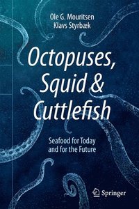 bokomslag Octopuses, Squid & Cuttlefish