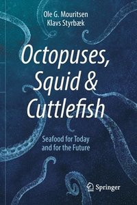 bokomslag Octopuses, Squid & Cuttlefish