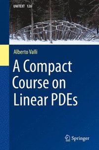 bokomslag A Compact Course on Linear PDEs