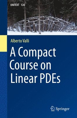 Alberto Valli - A Compact Course on Linear PDEs, Häftad