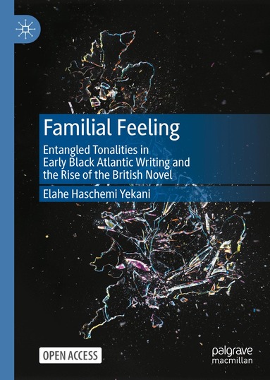 Elahe Haschemi Yekani - Familial Feeling, Inbunden