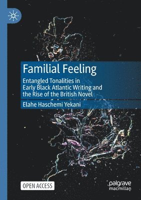 Elahe Haschemi Yekani - Familial Feeling, Häftad