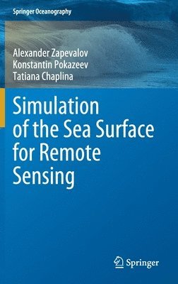 bokomslag Simulation of the Sea Surface for Remote Sensing