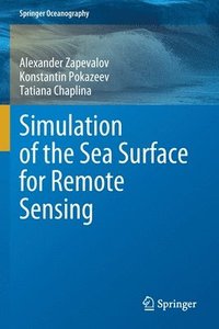 bokomslag Simulation of the Sea Surface for Remote Sensing