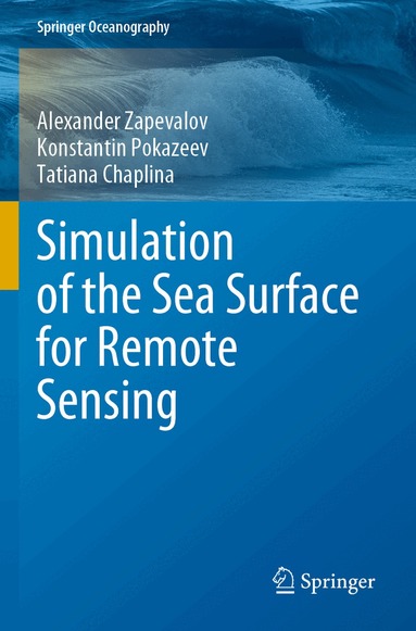Alexander Zapevalov, Konstantin Pokazeev, Tatiana Chaplina - Simulation of the Sea Surface for Remote Sensing, Häftad