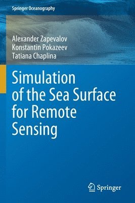 bokomslag Simulation of the Sea Surface for Remote Sensing