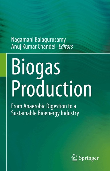 Nagamani Balagurusamy, Anuj Kumar Chandel - Biogas Production, Inbunden
