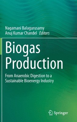 bokomslag Biogas Production