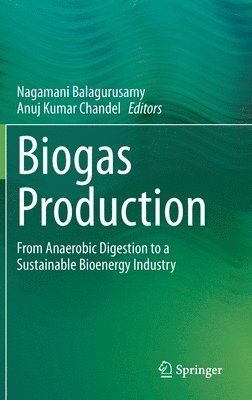 Biogas Production