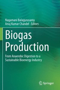 bokomslag Biogas Production