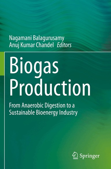 Nagamani Balagurusamy, Anuj Kumar Chandel - Biogas Production, Häftad
