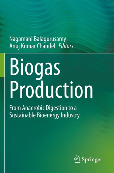 bokomslag Biogas Production