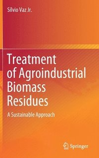 bokomslag Treatment of Agroindustrial Biomass Residues