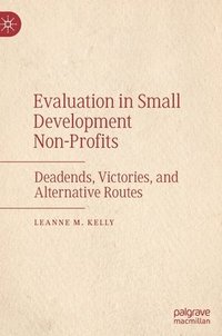 bokomslag Evaluation in Small Development Non-Profits