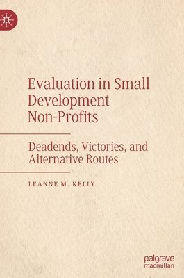 bokomslag Evaluation in Small Development Non-Profits