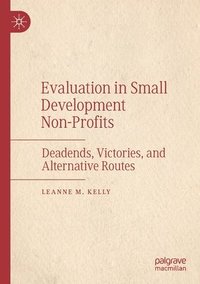 bokomslag Evaluation in Small Development Non-Profits
