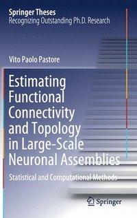 bokomslag Estimating Functional Connectivity and Topology in Large-Scale Neuronal Assemblies