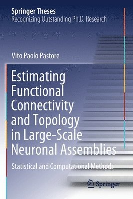 bokomslag Estimating Functional Connectivity and Topology in Large-Scale Neuronal Assemblies