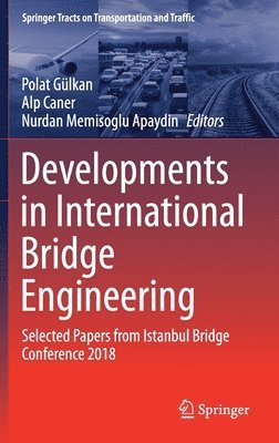 bokomslag Developments in International Bridge Engineering