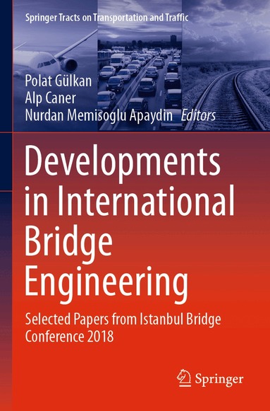 Polat Gülkan, Alp Caner, Nurdan Memisoglu Apaydin - Developments in International Bridge Engineering, Häftad