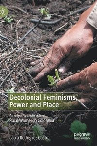 bokomslag Decolonial Feminisms, Power and Place