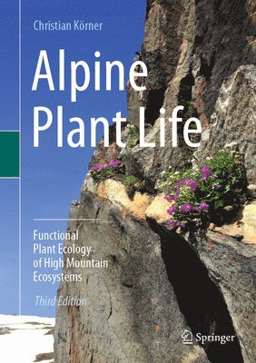 Alpine Plant Life 1