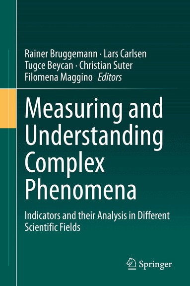 Rainer Bruggemann, Lars Carlsen, Tugce Beycan, Christian Suter, Filomena Maggino - Measuring and Understanding Complex Phenomena, Inbunden