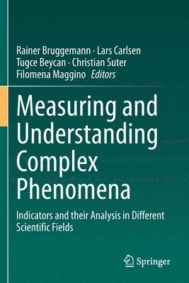 bokomslag Measuring and Understanding Complex Phenomena