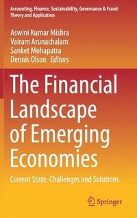 bokomslag The Financial Landscape of Emerging Economies