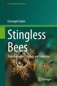 bokomslag Stingless Bees