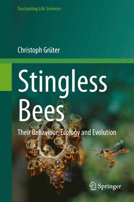 Stingless Bees 1