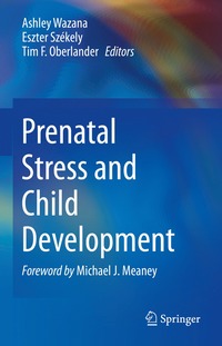 bokomslag Prenatal Stress and Child Development