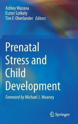 bokomslag Prenatal Stress and Child Development