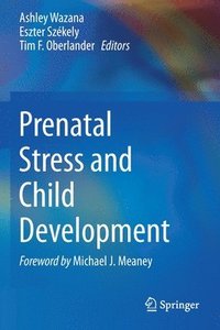 bokomslag Prenatal Stress and Child Development