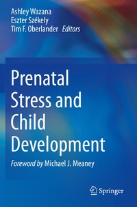 bokomslag Prenatal Stress and Child Development