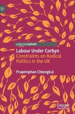 bokomslag Labour Under Corbyn