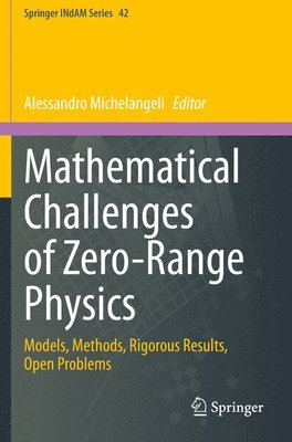 bokomslag Mathematical Challenges of Zero-Range Physics
