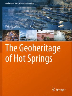 bokomslag The Geoheritage of Hot Springs