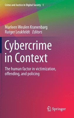 Cybercrime in Context 1