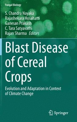 bokomslag Blast Disease of Cereal Crops