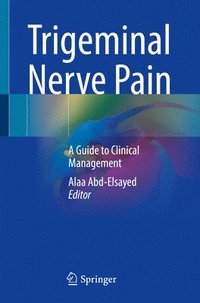 bokomslag Trigeminal Nerve Pain