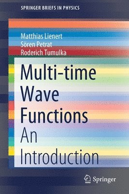 bokomslag Multi-time Wave Functions
