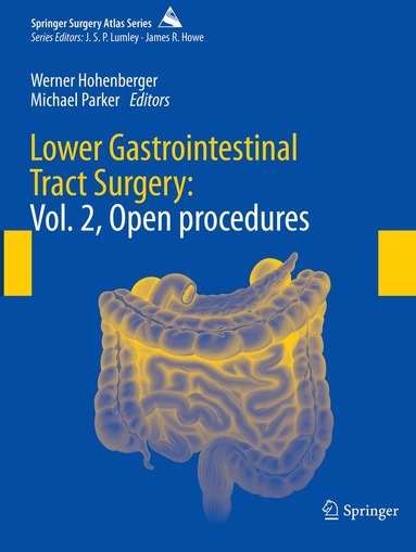 Werner Hohenberger, Michael Parker - Lower Gastrointestinal Tract Surgery, Häftad
