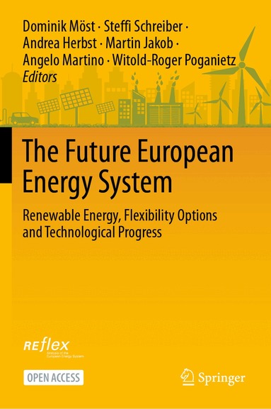 Dominik Möst, Steffi Schreiber, Andrea Herbst, Martin Jakob, Angelo Martino, Witold-Roger Poganietz - Future European Energy System, Inbunden