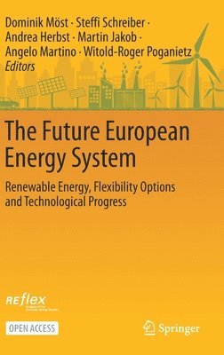 The Future European Energy System 1